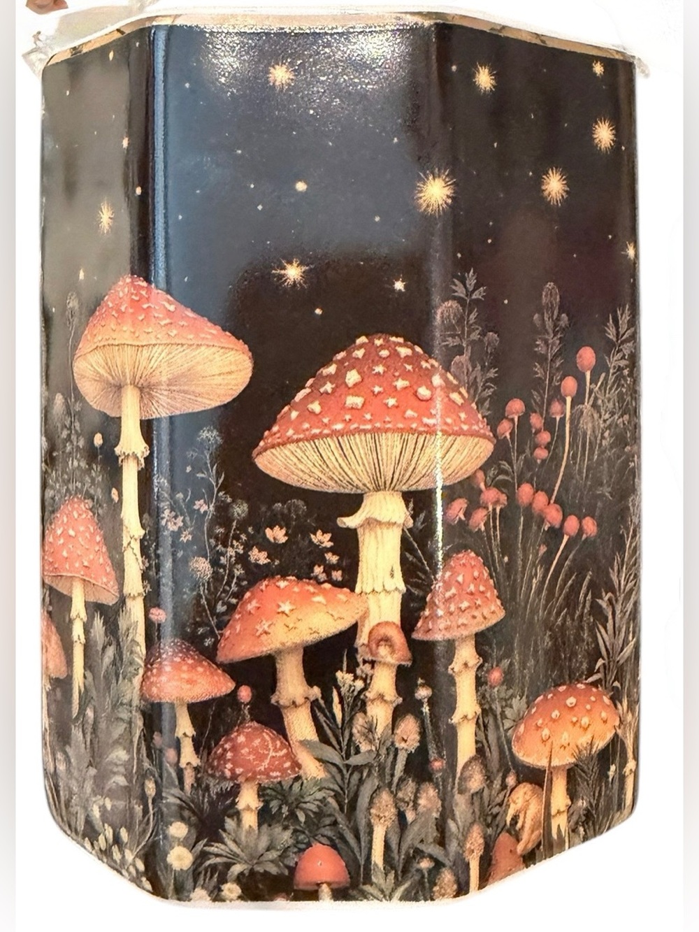 New- Mushroom Night Sky Ceramic Pen Holders